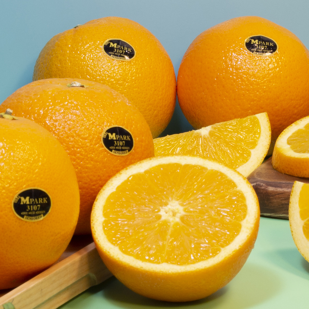 블랙라벨 고당도 오렌지 특대과